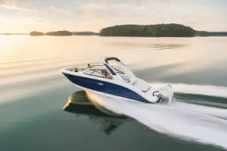 Thumbnail von Sea Ray SDX 250 Außenborder