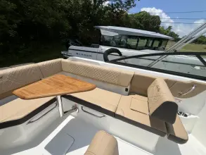 Thumbnail von Sea Ray SDX 250 Außenborder