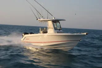 Thumbnail von Boston Whaler 250 Outrage