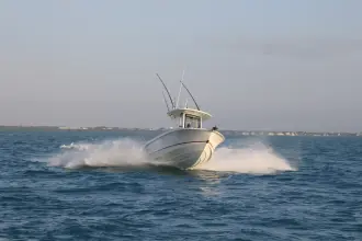 Thumbnail von Boston Whaler 250 Outrage