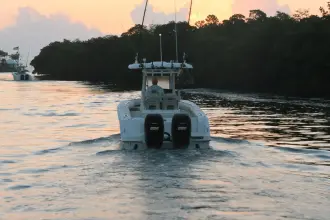 Thumbnail von Boston Whaler 250 Outrage