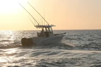 Thumbnail von Boston Whaler 250 Outrage