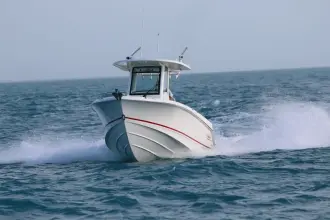 Thumbnail von Boston Whaler 250 Outrage