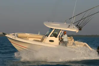Thumbnail von Boston Whaler 250 Outrage