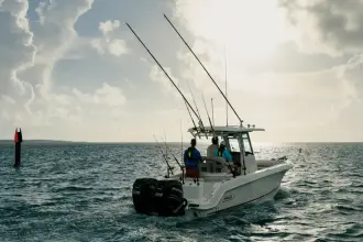 Thumbnail von Boston Whaler 250 Outrage