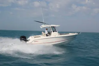 Thumbnail von Boston Whaler 250 Outrage