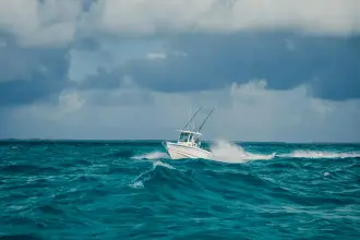 Thumbnail von Boston Whaler 250 Outrage