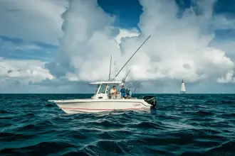 Thumbnail von Boston Whaler 250 Outrage
