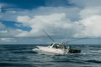 Thumbnail von Boston Whaler 250 Outrage