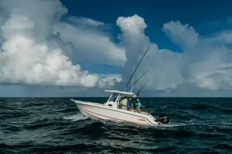 Thumbnail von Boston Whaler 250 Outrage