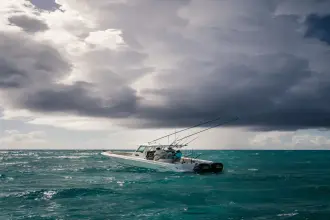 Thumbnail von Boston Whaler 250 Outrage