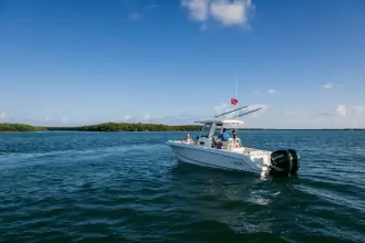 Thumbnail von Boston Whaler 250 Outrage