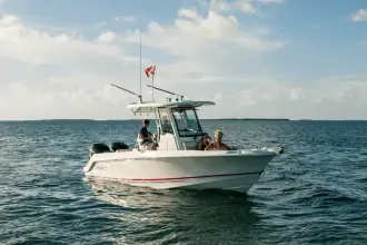 Thumbnail von Boston Whaler 250 Outrage