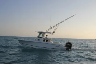 Thumbnail von Boston Whaler 250 Outrage
