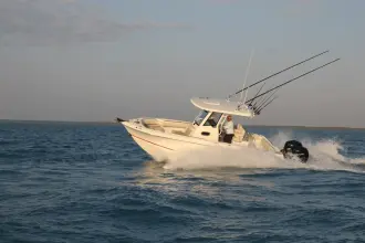 Thumbnail von Boston Whaler 250 Outrage