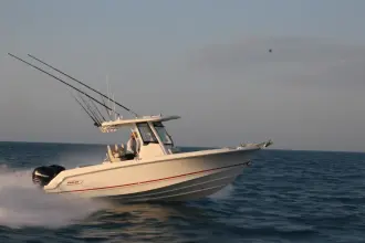 Thumbnail von Boston Whaler 250 Outrage