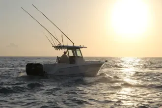 Thumbnail von Boston Whaler 250 Outrage