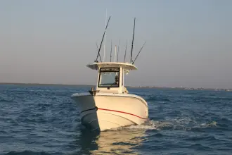 Thumbnail von Boston Whaler 250 Outrage