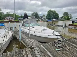 Thumbnail von Sea Ray 340 Sundancer