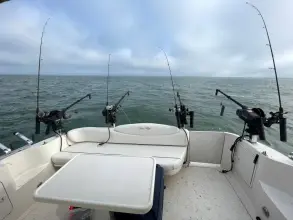 Thumbnail von Sea Ray 340 Sundancer