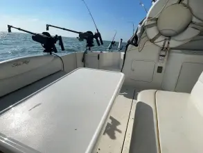 Thumbnail von Sea Ray 340 Sundancer