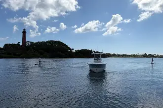 Thumbnail von Boston Whaler 280 Outrage