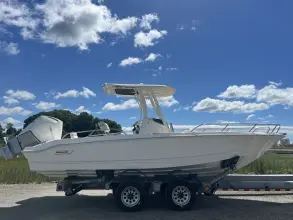 Boston Whaler 250 Dauntless