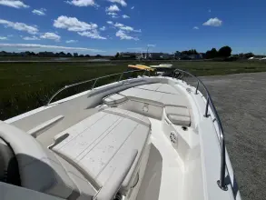Thumbnail von Boston Whaler 250 Dauntless