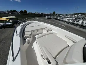 Thumbnail von Boston Whaler 250 Dauntless