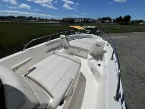 Thumbnail von Boston Whaler 250 Dauntless