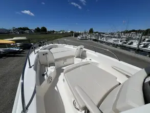 Thumbnail von Boston Whaler 250 Dauntless