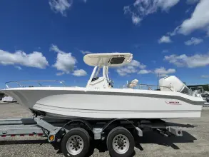 Thumbnail von Boston Whaler 250 Dauntless