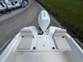 Thumbnail von Boston Whaler 250 Dauntless