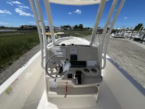 Thumbnail von Boston Whaler 250 Dauntless