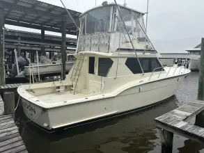 Hatteras 45 Megalodon