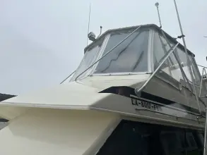 Thumbnail von Hatteras 45 Megalodon