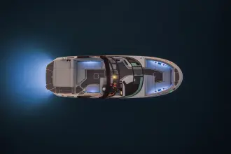 Sea Ray SDX 250