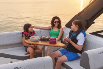 Thumbnail von Sea Ray SDX 250