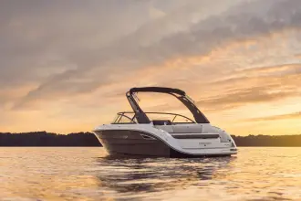 Thumbnail von Sea Ray SDX 250