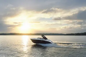 Thumbnail von Sea Ray SDX 250