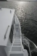 Thumbnail von Helmsman Trawlers 43e Pilothouse Helmsman Trawlers 38E Pilothouse 2027