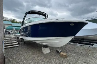Thumbnail von Sea Ray SDX 250