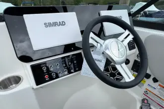 Thumbnail von Sea Ray SDX 250