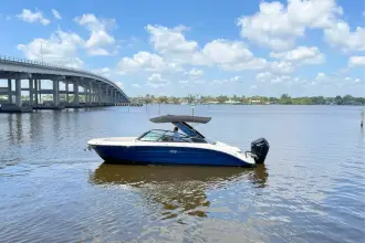 Thumbnail von Sea Ray SDX 270 Außenborder
