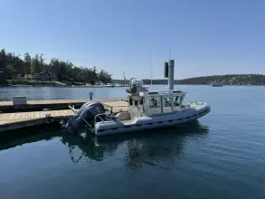 Thumbnail von SAFE BOATS 25 Fc Cygnet