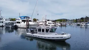 Thumbnail von SAFE BOATS 25 Fc Cygnet