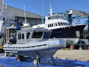 Thumbnail von SAFE BOATS 25 Fc Cygnet