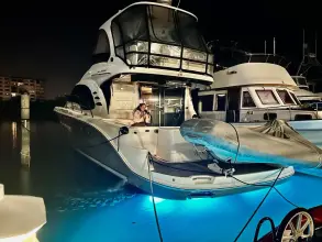 Sea Ray 500 Sedan Bridge