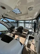Thumbnail von Sea Ray 500 Sedan Bridge