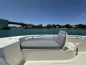 Thumbnail von Boston Whaler 280 Dauntless